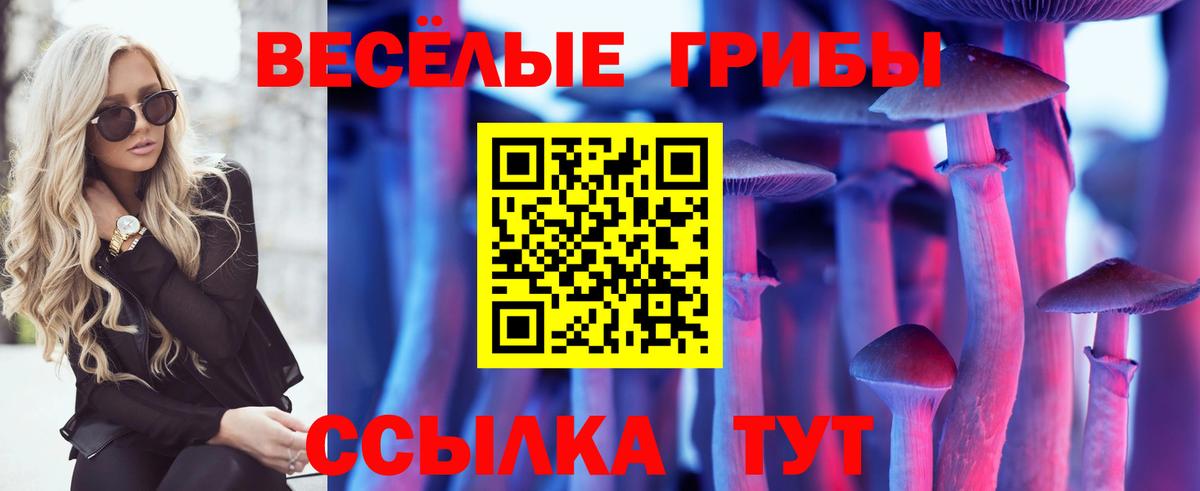 Галлюциногенные грибы Psilocybine cubensis Лосино-Петровский